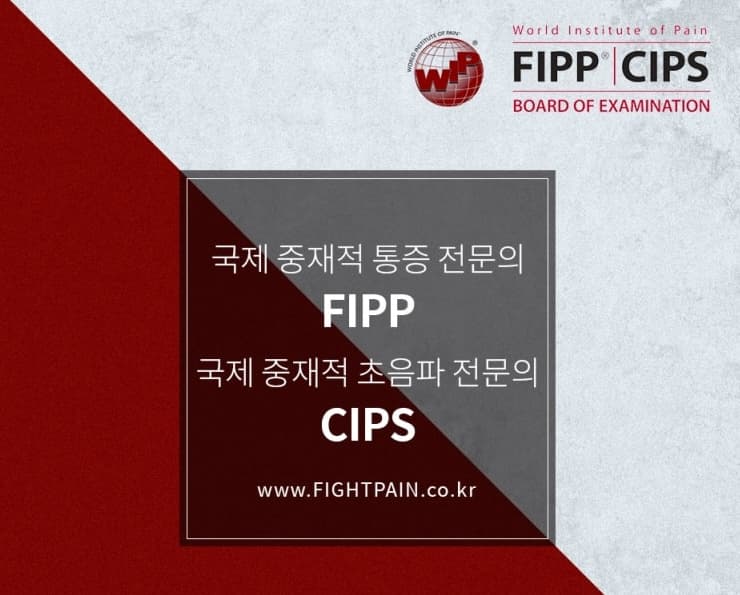 국제 중재적 통증 전문의(FIPP)·국제 중재적 초음파 전문의(CIPS) — 세계통증학회(WIP) 시험위원회 공식 인증