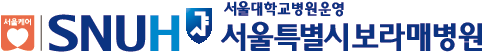 서울특별시 보라매병원 로고