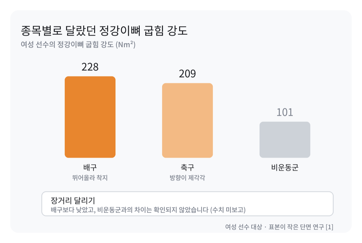종목별 정강이뼈 굽힘 강도를 비교한 막대 그래프. 배구 228, 축구 209, 비운동군 101이며 장거리 달리기는 수치가 보고되지 않았다는 설명이 아래에 붙어 있다