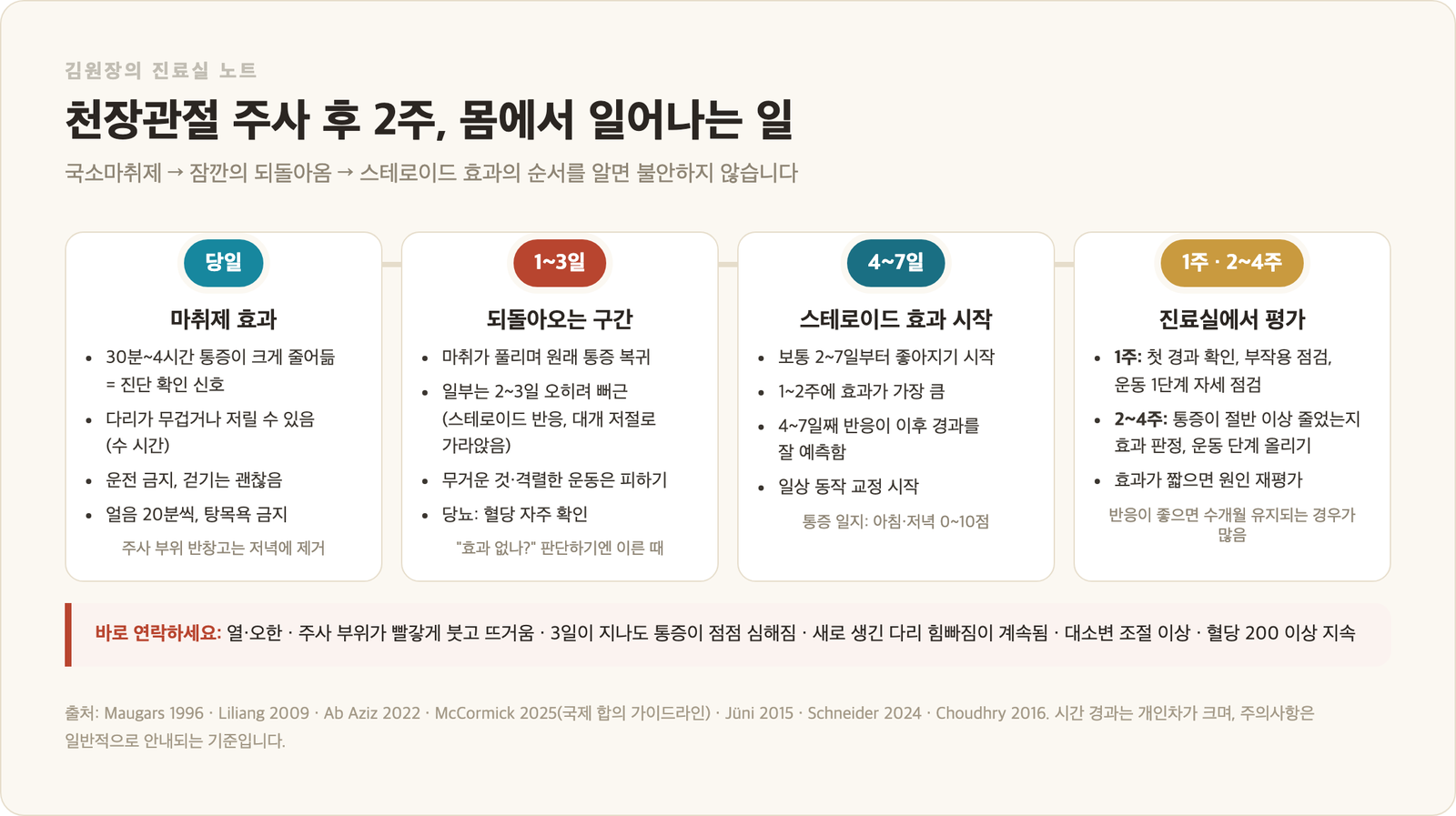 천장관절 주사 후 2주 경과 타임라인 인포그래픽 - 당일 국소마취제 효과, 1~3일 통증이 되돌아오는 구간, 4~7일 스테로이드 효과 시작, 1~2주 효과 최대와 첫 진료, 바로 연락해야 할 신호