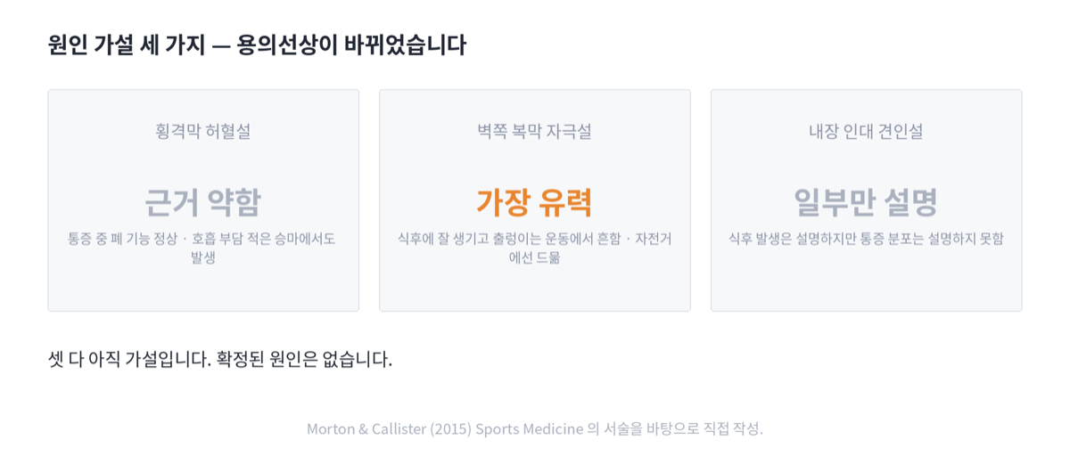 옆구리 통증의 세 가지 원인 가설을 비교한 카드. 횡격막 허혈설은 근거 약함, 벽쪽 복막 자극설은 가장 유력, 내장 인대 견인설은 일부만 설명