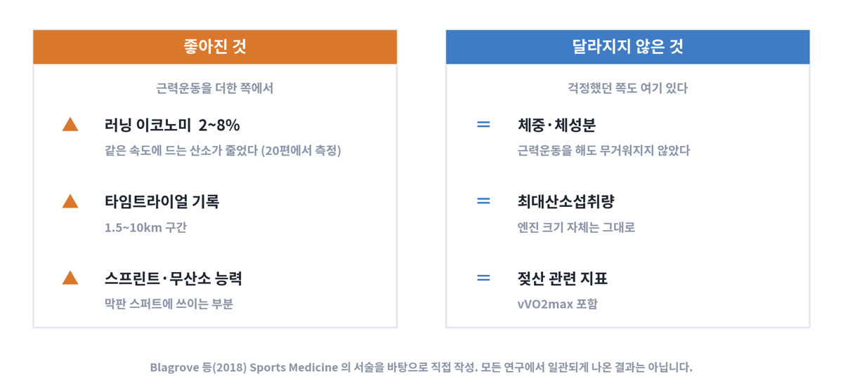 근력운동 효과 요약 카드. 좋아진 것은 러닝 이코노미 28%, 1.510km 타임트라이얼 기록, 스프린트·무산소 능력. 달라지지 않은 것은 체중·체성분, 최대산소섭취량, vVO2max를 포함한 젖산 관련 지표