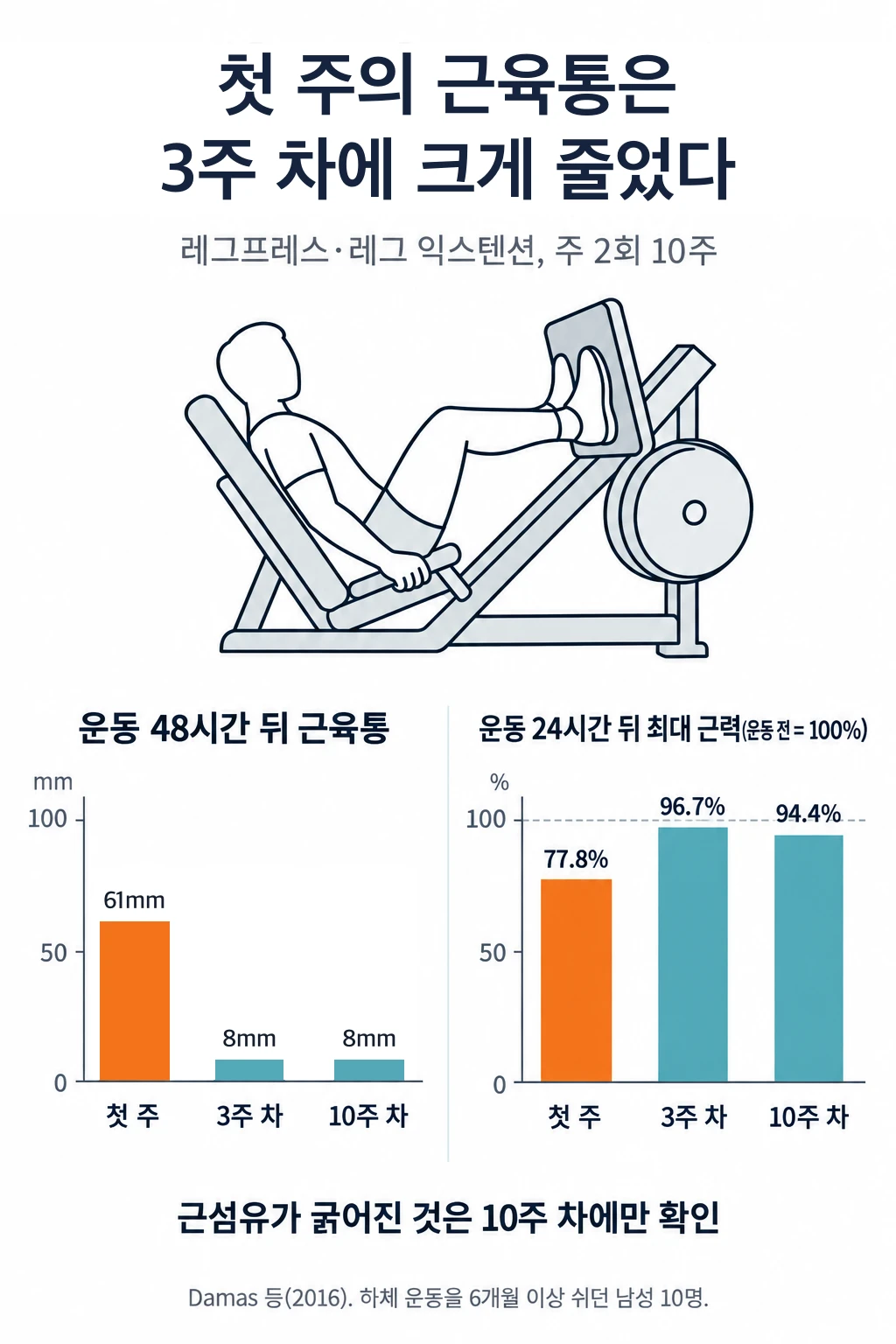 레그프레스 그림과 두 막대그래프. 운동 48시간 뒤 근육통(100mm 눈금)은 첫 주 61mm, 3주 차 8mm, 10주 차 8mm였습니다. 운동 24시간 뒤 무릎을 펴는 최대 근력은 운동 전의 77.8%(첫 주), 96.7%(3주 차), 94.4%(10주 차)였습니다. 근섬유가 굵어진 것은 10주 차에만 확인됐습니다.