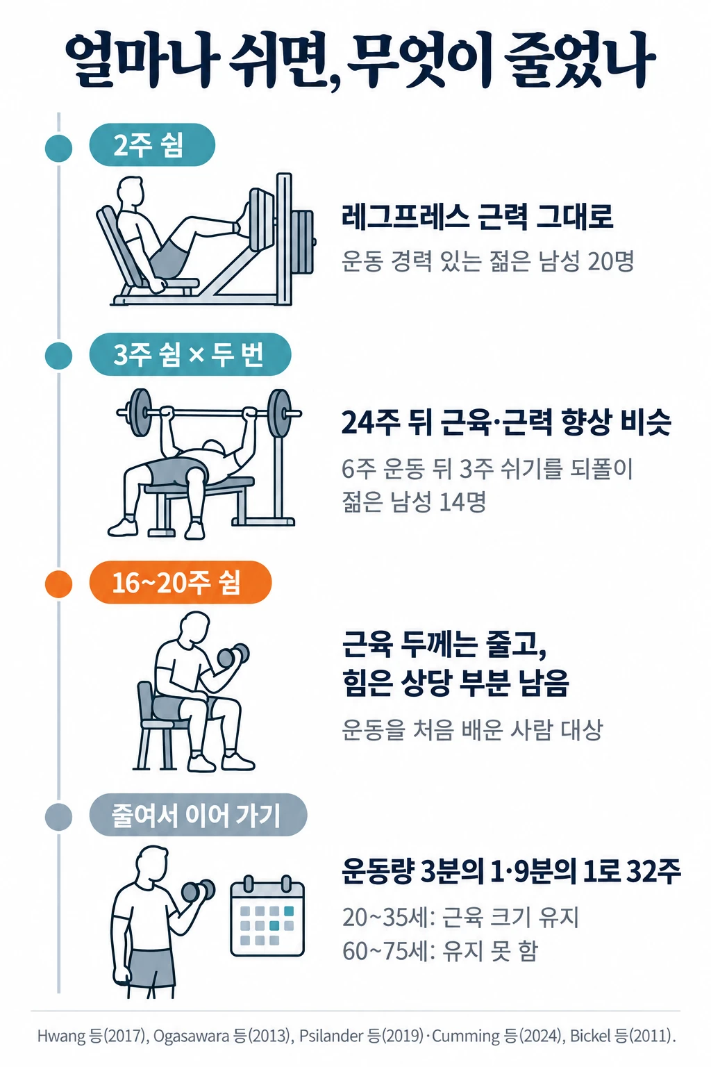 쉬는 기간별로 연구에서 본 변화를 세로로 정리한 그림. 2주를 쉰 운동 경력자 20명은 레그프레스 근력이 떨어지지 않았고, 6주 운동 뒤 3주 쉬기를 되풀이한 14명은 24주 뒤 근육 단면적과 근력 향상이 쉬지 않은 무리와 비슷했습니다. 16~20주를 쉬면 근육 두께는 줄었지만 힘은 상당 부분 남았고, 운동량을 3분의 1이나 9분의 1로 줄여 이어 간 20~35세는 32주 동안 근육 크기를 유지했으나 60~75세는 유지하지 못했습니다.