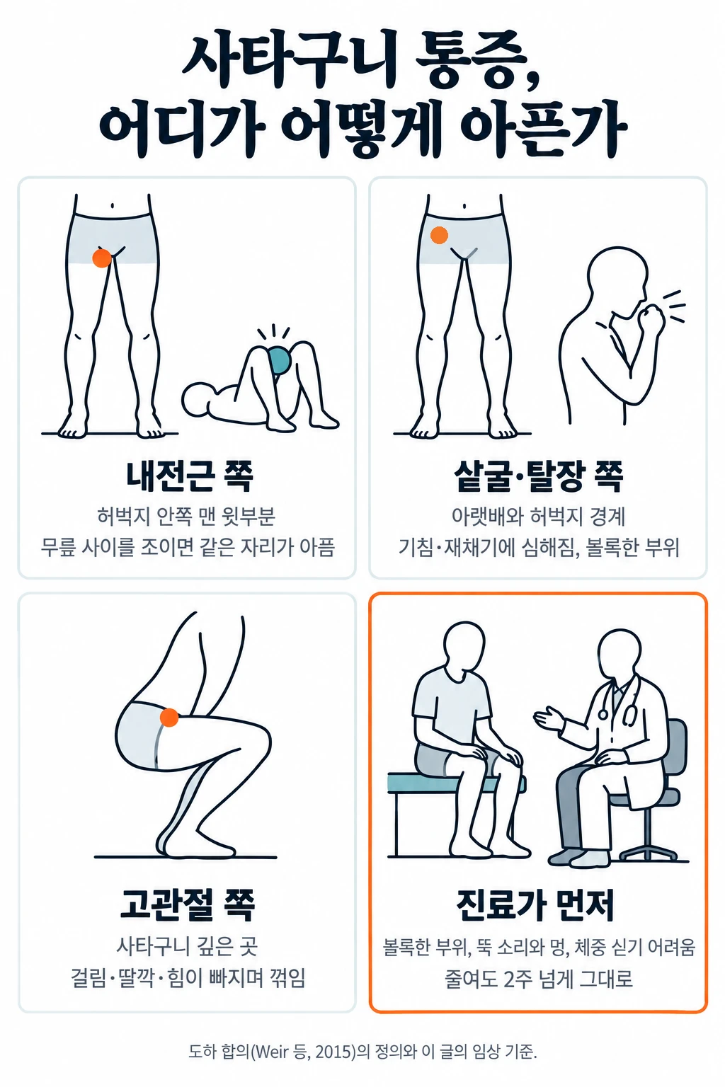 사타구니 통증을 네 칸으로 나눈 그림. 내전근 쪽은 허벅지 안쪽 맨 윗부분이 아프고 두 무릎 사이를 조이면 같은 자리가 아프다. 샅굴·탈장 쪽은 아랫배와 허벅지 경계가 아프고 기침·재채기에 심해지거나 볼록한 부위가 보인다. 고관절 쪽은 사타구니 깊은 곳이 아프고 걸리거나 딸깍하며 꺾이는 느낌이 있다. 네 번째 칸은 볼록한 부위, 뚝 소리와 멍, 체중을 싣기 어려운 통증, 2주 넘게 그대로인 통증은 진료가 먼저라고 적었다
