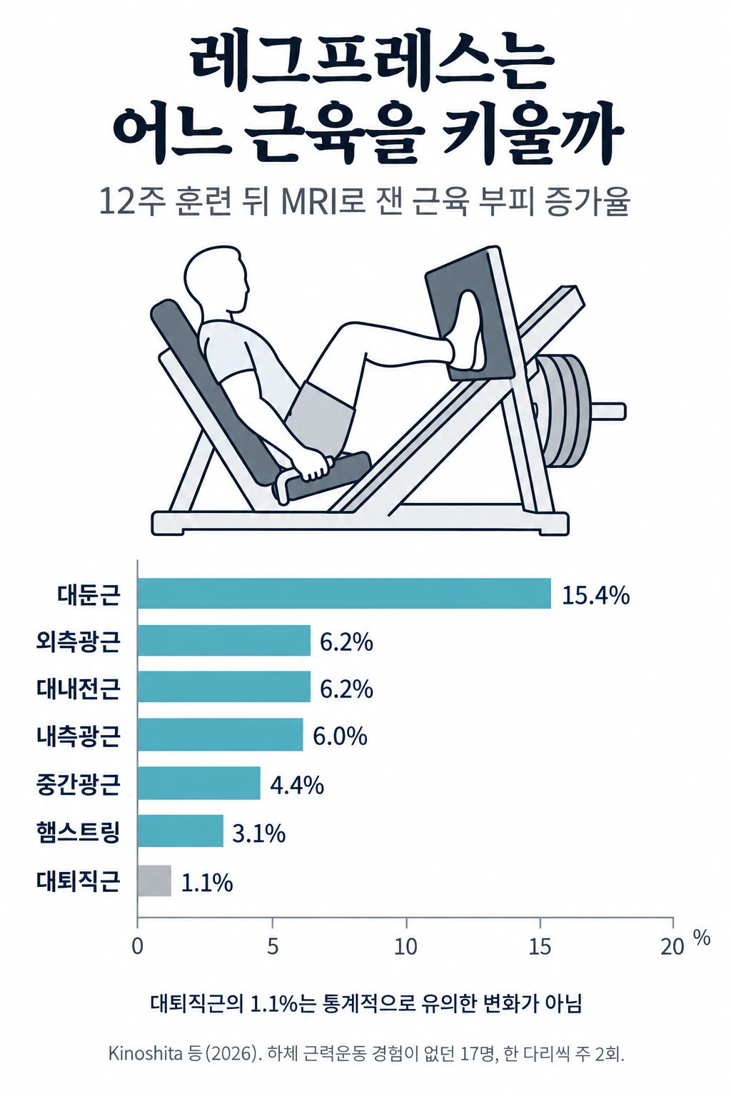 레그프레스 자세 그림과 12주 뒤 근육별 부피 증가율 막대그래프. 대둔근 15.4%, 외측광근 6.2%, 대내전근 6.2%, 내측광근 6.0%, 중간광근 4.4%, 햄스트링 3.1%, 대퇴직근 1.1%(유의하지 않음)