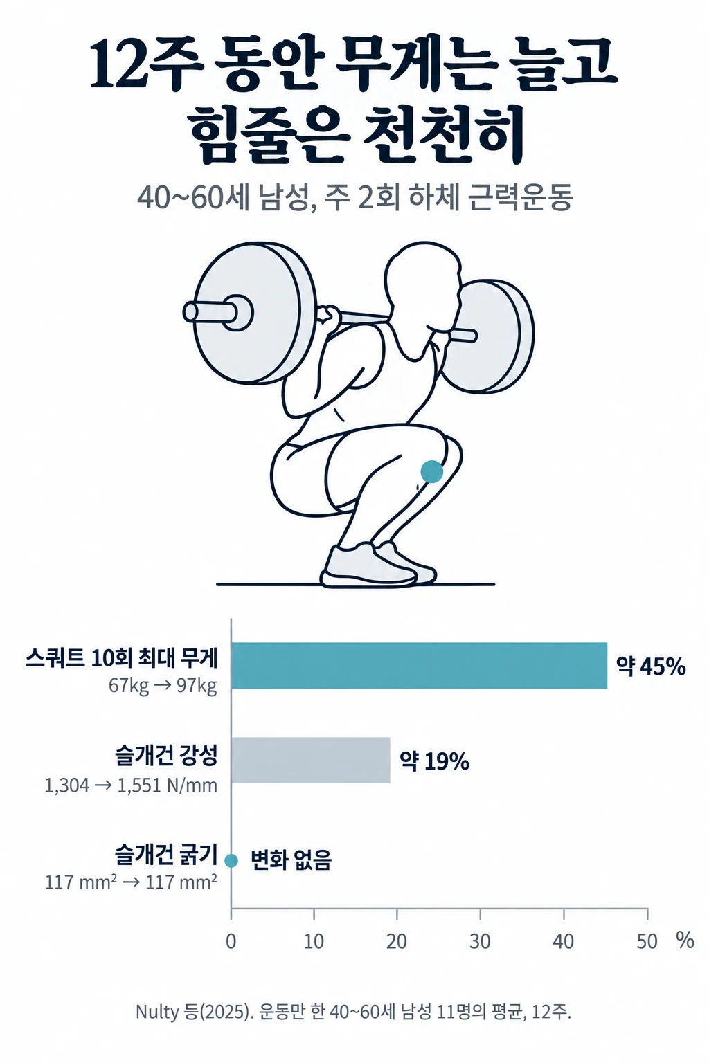 웨이트 경험이 없는 40~60세 남성이 12주 동안 주 2회 하체 근력운동을 했을 때 운동만 한 11명의 평균 변화를 비교한 막대그래프. 스쿼트 10회 최대 무게는 67kg에서 97kg으로 약 45% 늘었고, 슬개건 강성은 1,304에서 1,551 N/mm로 약 19% 늘었으며, 슬개건 굵기는 117 mm²로 변화가 없었다.