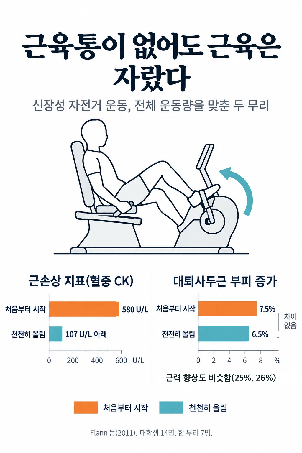 신장성 자전거 운동을 한 두 무리를 비교한 막대그래프. 근손상 지표인 혈중 CK는 처음부터 목표 강도로 시작한 무리가 5주째 평균 580 U/L까지 올랐고, 3주에 걸쳐 천천히 올린 무리는 평균 107 U/L 아래에 머물렀습니다. 그런데 MRI로 잰 대퇴사두근 부피 증가는 천천히 올린 무리 6.5%, 처음부터 시작한 무리 7.5%로 차이가 없었고, 근력 향상도 25%와 26%로 비슷했습니다.