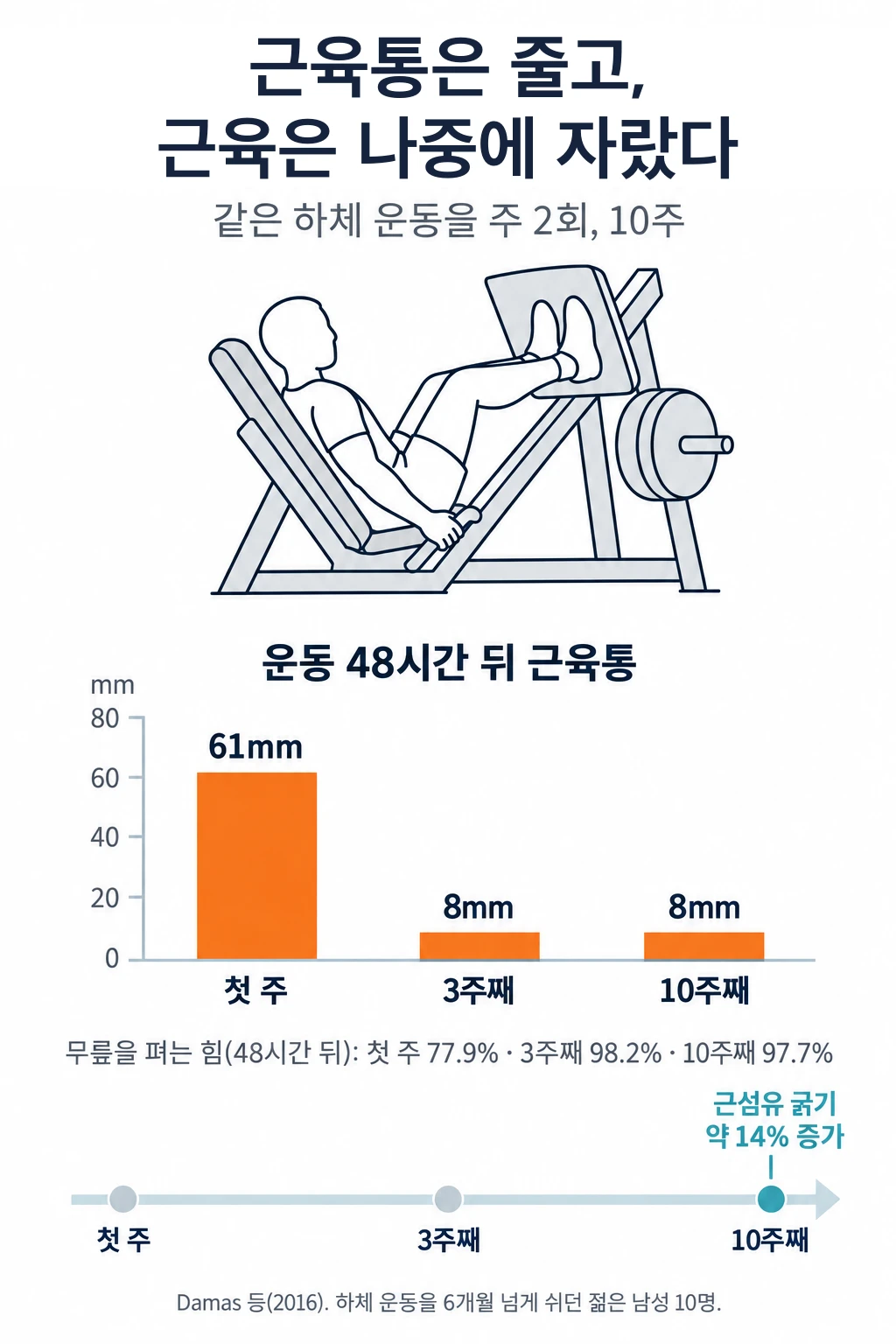 45도 레그프레스 그림과 운동 48시간 뒤 근육통 막대그래프. 100mm 척도로 잰 근육통은 첫 주 61mm, 3주째 8mm, 10주째 8mm로 줄었습니다. 무릎을 펴는 힘은 첫 주 48시간 뒤 운동 전의 77.9%였고 3주째 98.2%, 10주째 97.7%였습니다. 근섬유 굵기는 10주째에야 약 14% 늘었습니다.