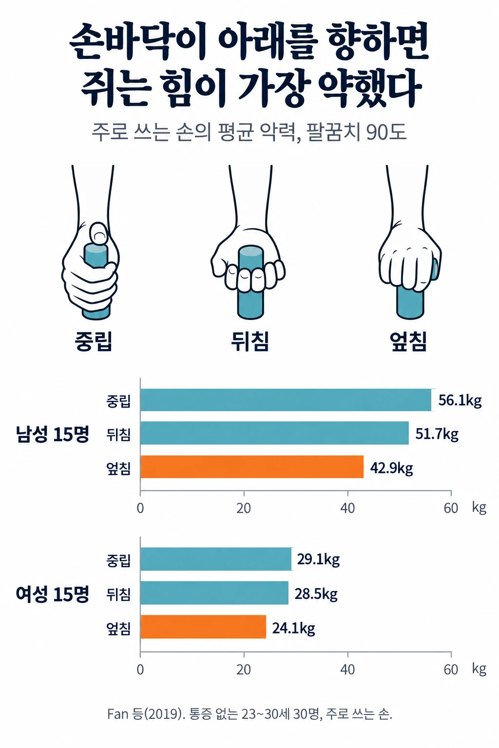 아래팔 방향 세 가지(엄지가 위를 향하는 중립, 손바닥이 위를 향하는 뒤침, 손바닥이 아래를 향하는 엎침)로 악력계를 쥔 손 그림과, 주로 쓰는 손의 평균 악력 막대그래프. 남성은 중립 56.1kg, 뒤침 51.7kg, 엎침 42.9kg, 여성은 중립 29.1kg, 뒤침 28.5kg, 엎침 24.1kg으로 남녀 모두 엎침에서 가장 약했습니다.