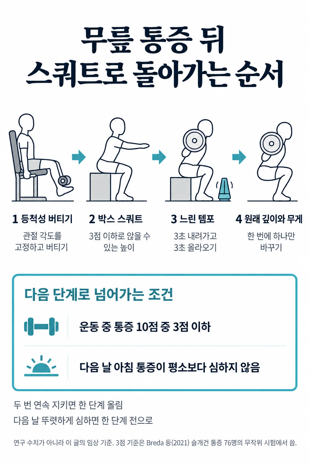 무릎 통증 뒤 스쿼트로 돌아가는 네 단계를 칸마다 작은 선 그림으로 나타낸 그림. 1 등척성 버티기(관절 각도를 고정하고 버티기), 2 박스 스쿼트(3점 이하로 앉을 수 있는 높이), 3 느린 템포(3초 내려가고 3초 올라오기), 4 원래 깊이와 무게(한 번에 하나만 바꾸기). 아래에 다음 단계로 넘어가는 조건: 운동 중 통증 10점 중 3점 이하, 다음 날 아침 통증이 평소보다 심하지 않음, 두 번 연속 지키면 한 단계 올림, 다음 날 뚜렷하게 심하면 한 단계 전으로