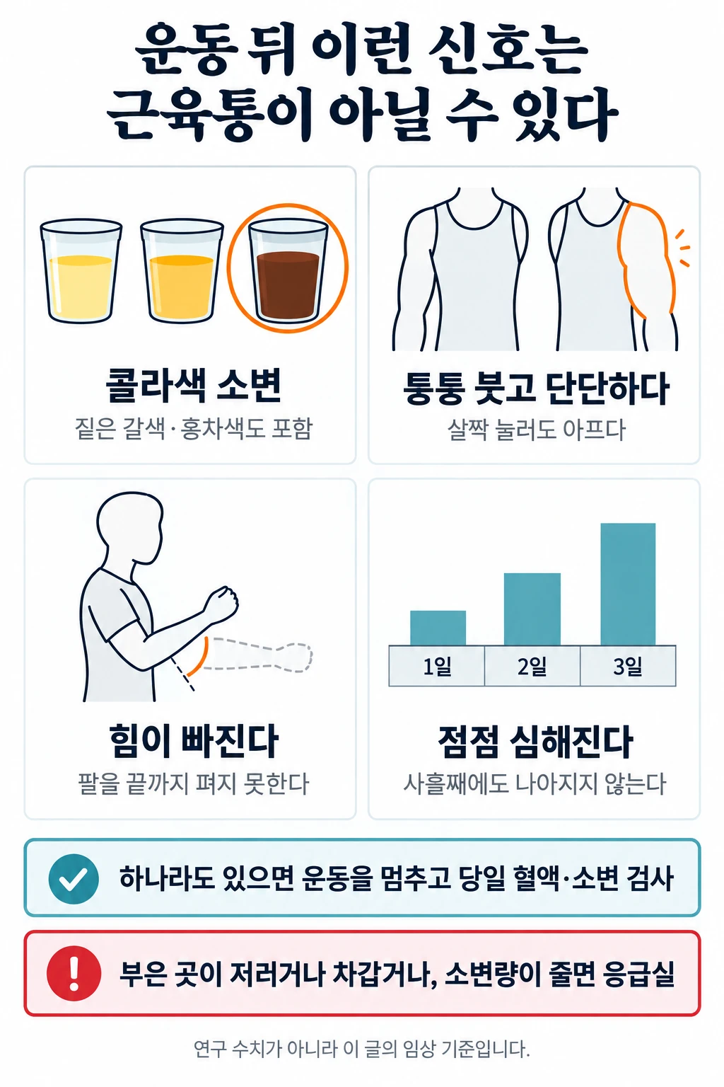 심한 운동 뒤 근육통과 다른 횡문근융해증 신호를 네 칸 그림으로 정리했다. 콜라색·짙은 갈색 소변, 운동한 근육이 퉁퉁 붓고 단단함, 힘이 빠져 팔을 끝까지 펴지 못함, 사흘째에도 점점 심해지는 통증. 하나라도 있으면 운동을 멈추고 당일 혈액·소변 검사를 받고, 부은 부위가 저리거나 차갑거나 소변량이 줄면 응급실로 간다.