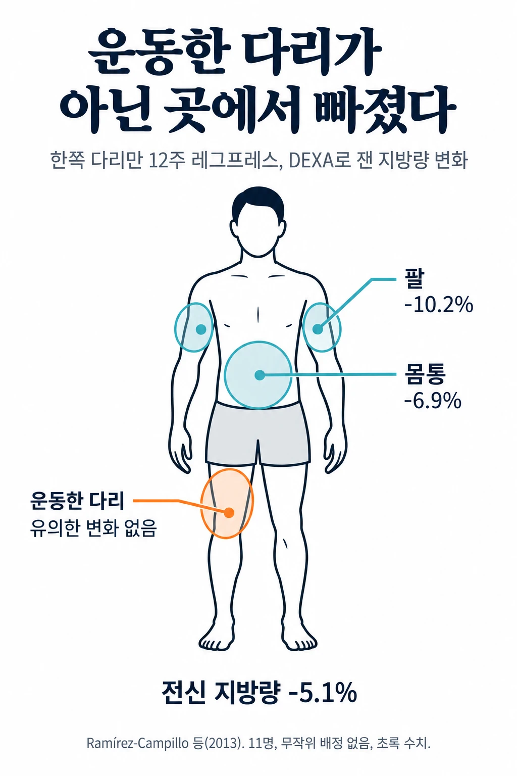 한쪽 다리로만 12주 동안 레그프레스를 한 연구의 결과를 사람 앞모습 그림에 표시했습니다. 운동한 다리는 지방량에 유의한 변화가 없었고, 팔은 10.2%, 몸통은 6.9% 줄었으며, 전신 지방량은 5.1% 줄었습니다.