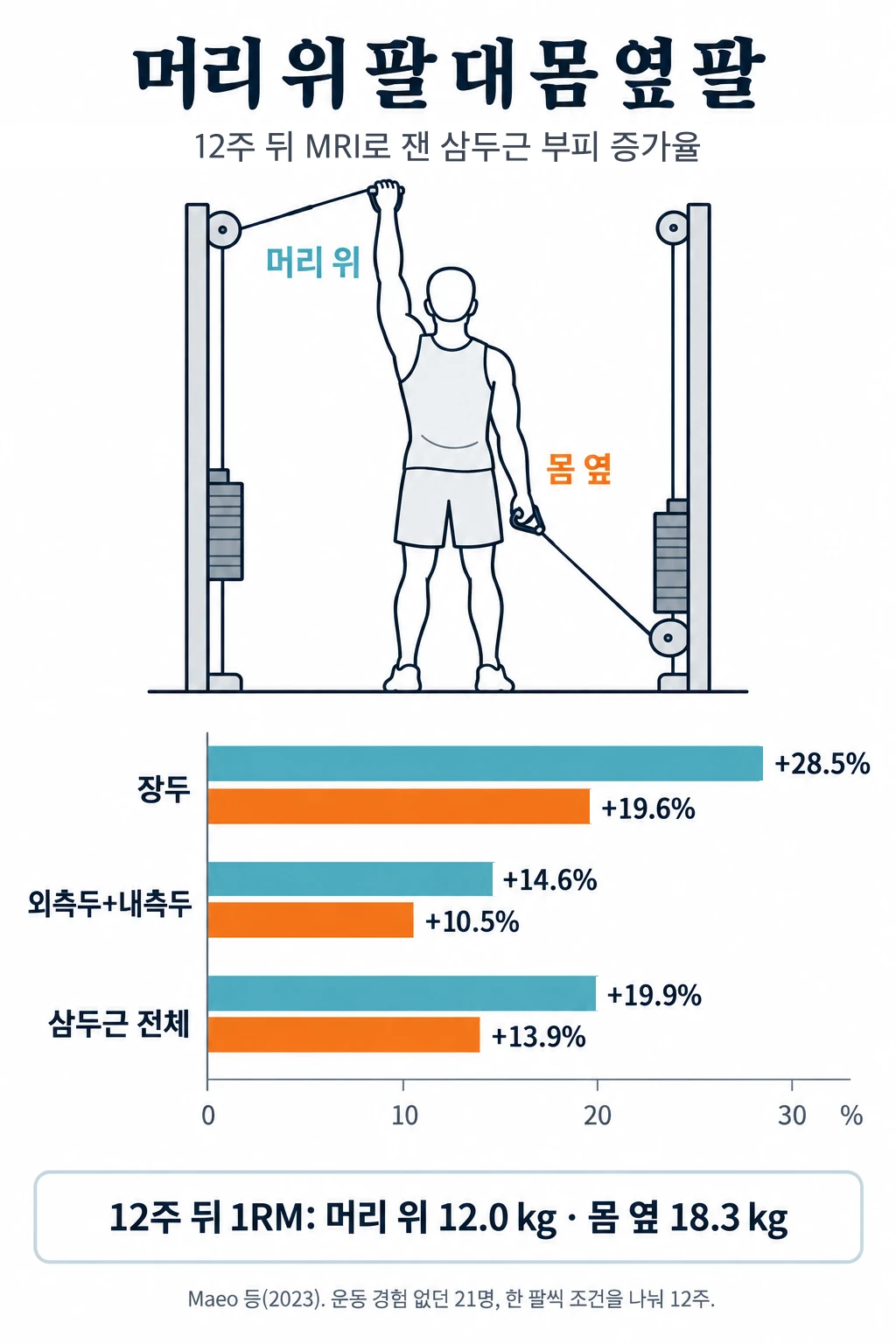케이블 앞에 서서 한 팔은 머리 위로 들고, 다른 팔은 몸 옆에 붙인 채 팔꿈치를 펴는 사람의 선 그림과 12주 뒤 MRI로 잰 삼두근 부피 증가율 막대그래프. 장두는 머리 위 팔 +28.5%, 몸 옆 팔 +19.6%. 외측두+내측두는 +14.6%와 +10.5%. 삼두근 전체는 +19.9%와 +13.9%로 세 항목 모두 머리 위 팔이 더 컸습니다. 12주 뒤 1RM은 머리 위 팔 12.0 kg, 몸 옆 팔 18.3 kg이었습니다.