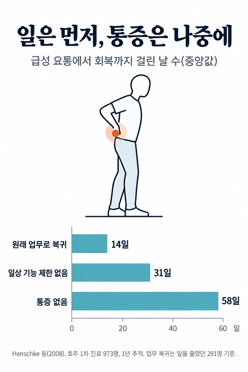 급성 요통으로 1차 진료를 찾은 973명을 추적한 호주 연구에서 회복까지 걸린 중앙값을 비교한 가로 막대그래프. 원래 업무 복귀 14일, 일상 기능 제한이 사라지기까지 31일, 통증이 사라지기까지 58일이었다.