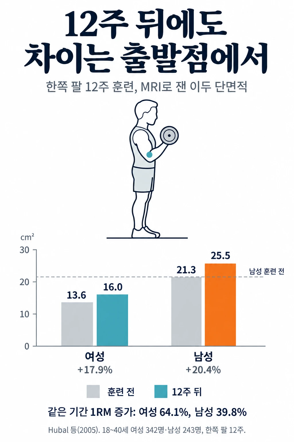 한쪽 팔로 덤벨 컬을 하는 사람 그림과 12주 훈련 전후 이두 단면적 막대그래프. 여성은 13.6 cm²에서 16.0 cm²로 17.9% 늘었고, 남성은 21.3 cm²에서 25.5 cm²로 20.4% 늘었습니다. 훈련 뒤 여성의 16.0 cm²는 훈련 전 남성의 21.3 cm²보다 작았습니다. 같은 기간 이두 1RM은 여성이 64.1%, 남성이 39.8% 늘었습니다.